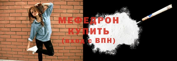 индика Каменногорск