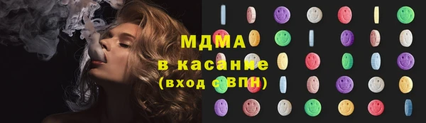 индика Каменногорск