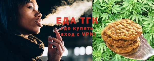 индика Каменногорск