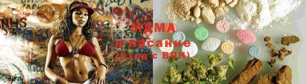 индика Каменногорск