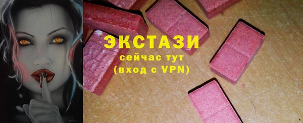 индика Каменногорск