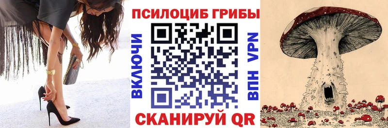 Галлюциногенные грибы мухоморы  мега ТОР  Княгинино  закладка 
